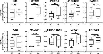 Long Non-coding RNA Signature for Liver Metastasis of Colorectal Cancers